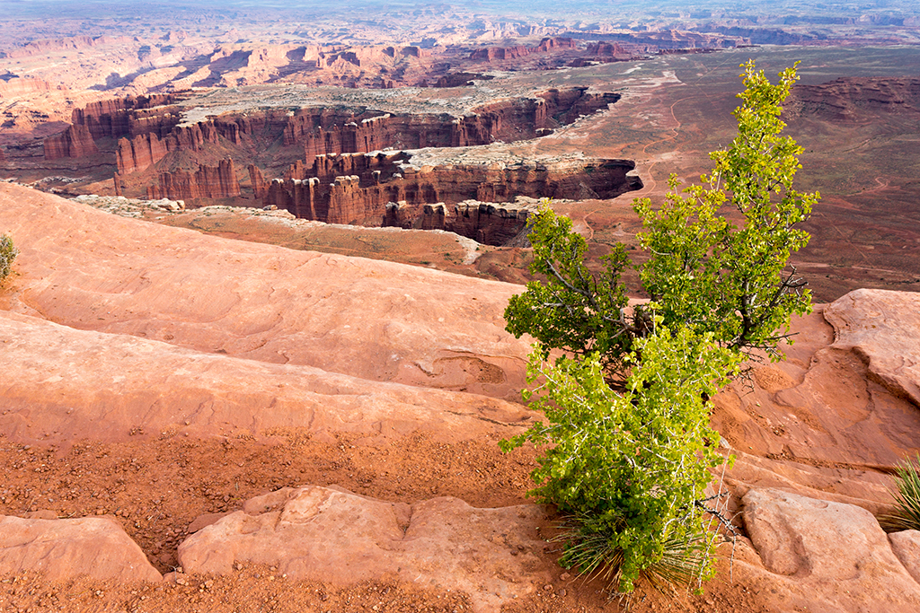 10-09 - 12.jpg - Grand View Point, Canyonlands National Park